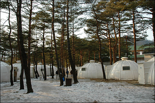 또 다른 숙소인 포레스트돔. 운치있어 보이지만 불편합니다. 